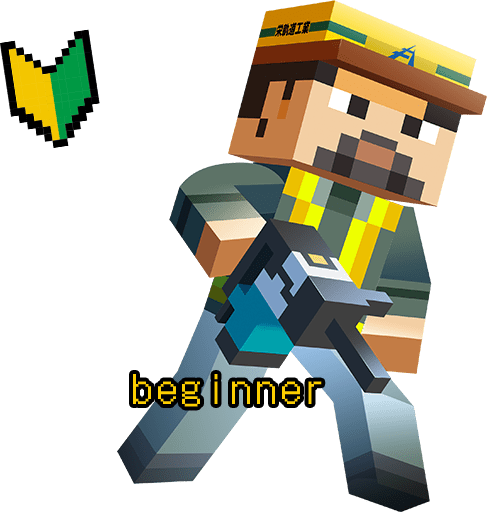 beginner